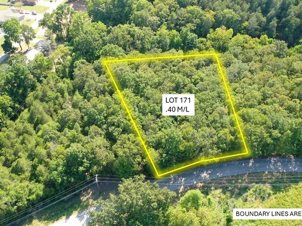 171 Rivercliff Dr, Bull Shoals, AR 72619