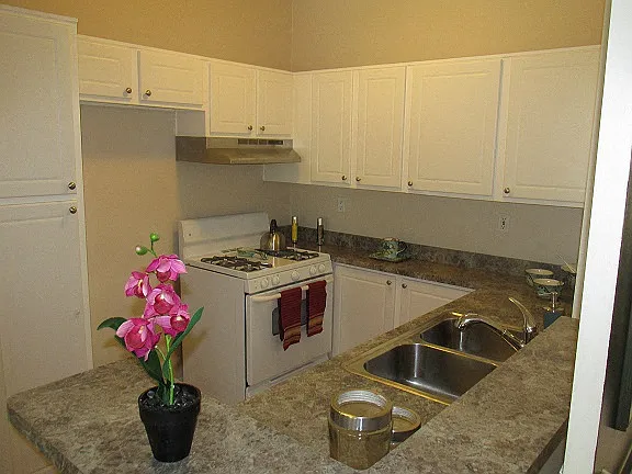 Brighton Vista Apartments — Photo 8