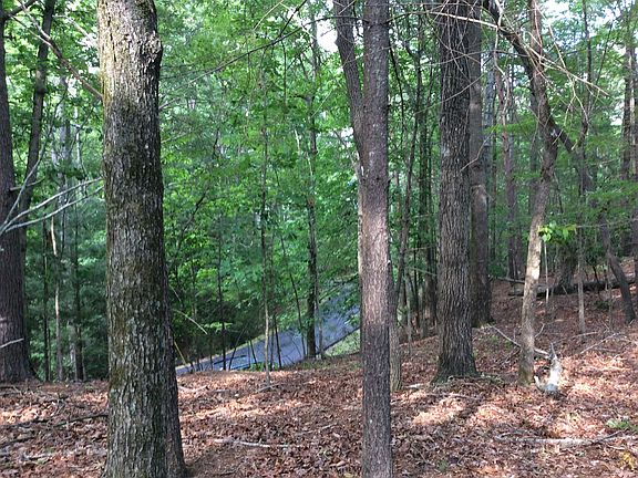 Looking down to Shiloh Ln