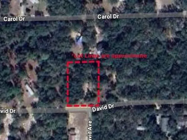 David Dr Lot 33, Interlachen, FL 32148