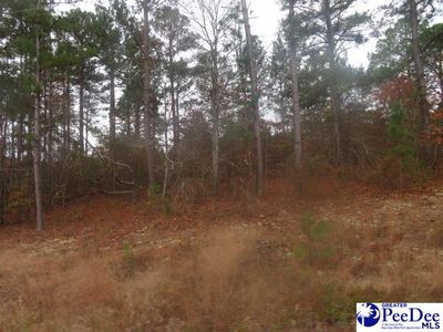 Lots 4&5 Morrison Rd, Hartsville, SC, 29550