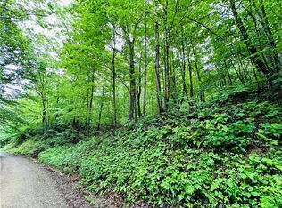 0 W Meadows Rd LOT 3, Moravian Falls, NC 28654