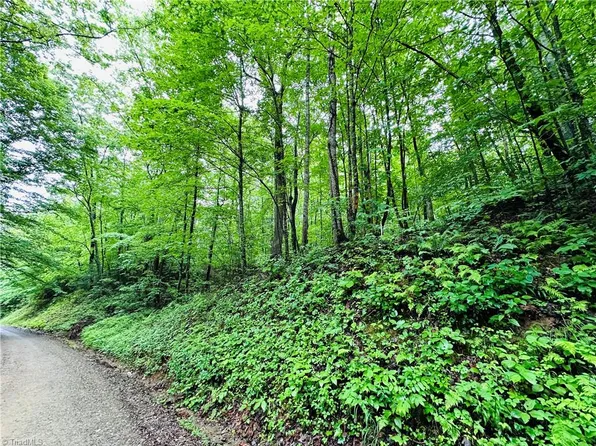0 W Meadows Rd Lot 3, Moravian Falls, NC 28654