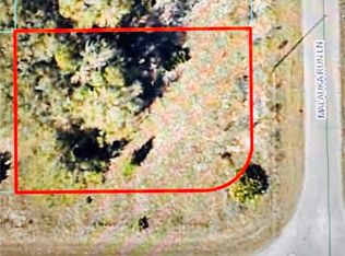 Malauka Run Ln LOT 6, Ocklawaha, FL 32179