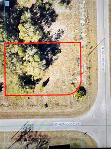 Malauka Run Ln LOT 6, Ocklawaha, FL, 32179