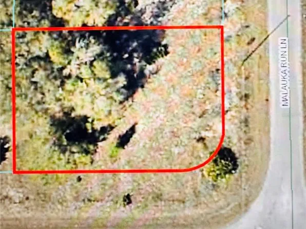 Malauka Run Ln Lot 6, Ocklawaha, FL 32179