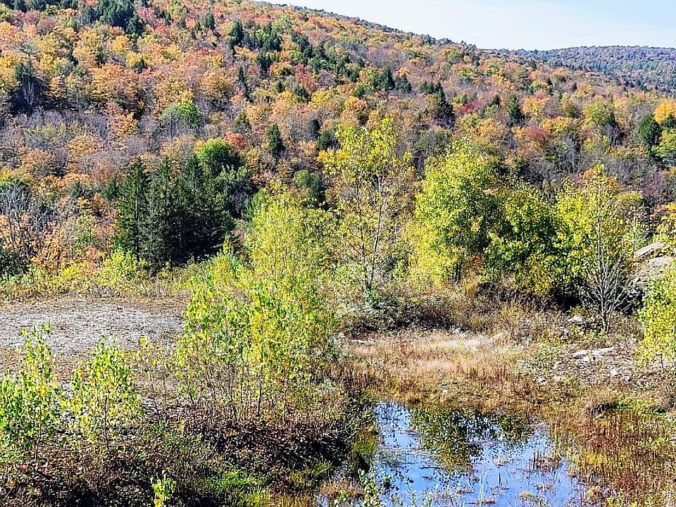 4170 VT Route 112, West Halifax, VT 05358 Zillow