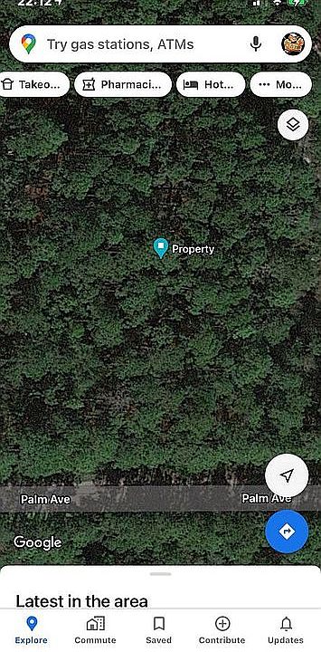 2nd image of 5608 Palm Ave