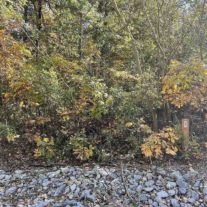 1st image of 0 Cherrywood St Lot 6-9