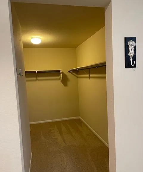 Walk-In Closet in Master