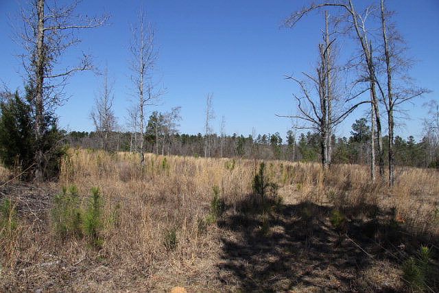 1st image of 2947 A Highway 220 E