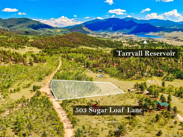 503 Sugar Loaf Lane LOT 115, Jefferson, CO 80456
