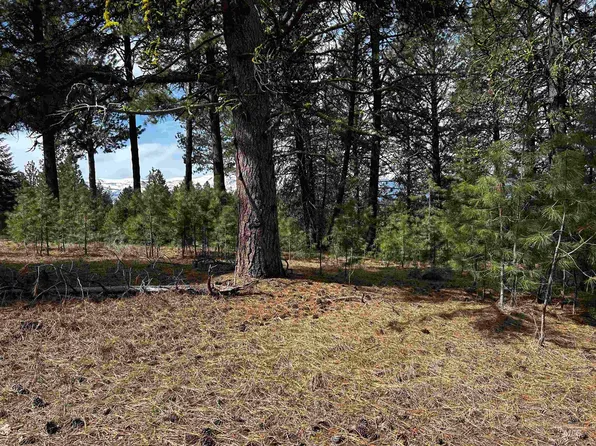 1483 Pine Lakes Ranch Dr, Cascade, ID 83611