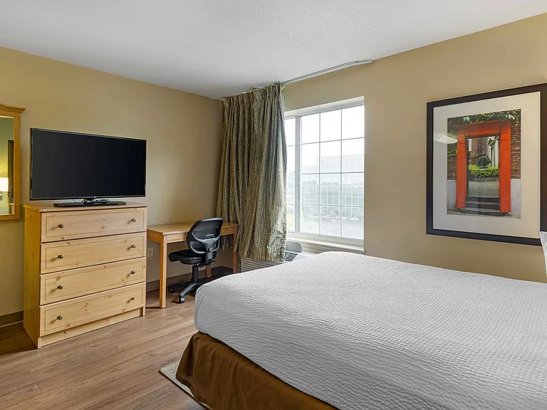Studio Suite - 1 Queen Bed