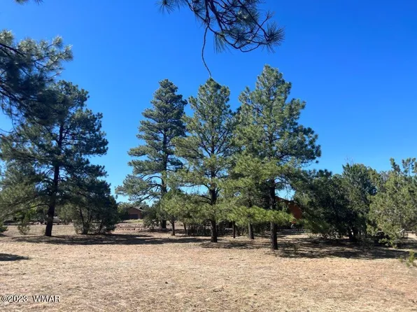 2975 Arrowhead Dr, Overgaard, AZ 85933