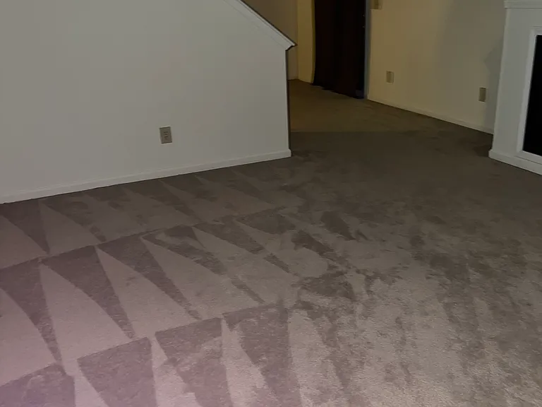 4617 Falcon Run Way — Photo 7