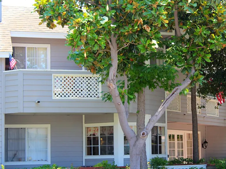 301 S Glassell St — Photo 10