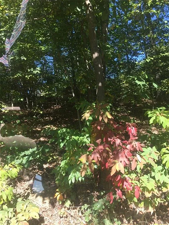Forest Glen Rd photo 1