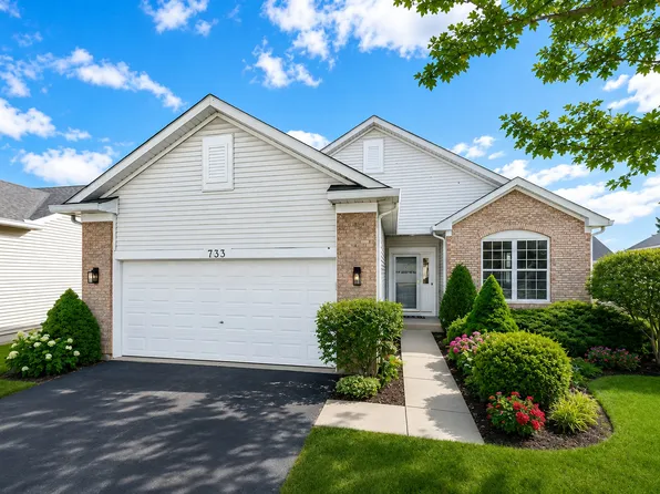 733 S Mecosta Ln, Romeoville, IL 60446