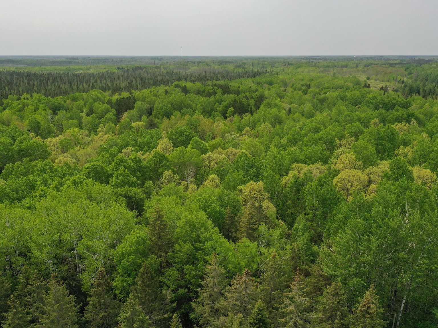 Town Rd 55, Big Falls, MN 56627 Zillow