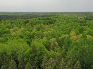 Town Rd #55, Big Falls, MN 56627