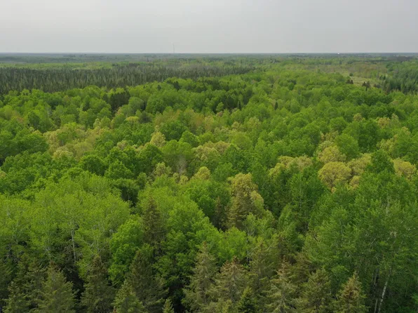 Town Rd #55, Big Falls, MN 56627