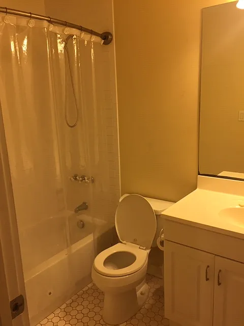 Studio, 350 sqft, $800 — Photo 3