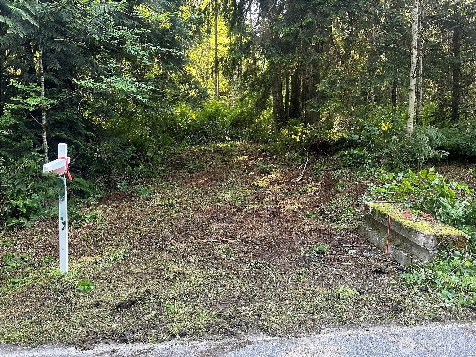 509 Summerland Road photo 1