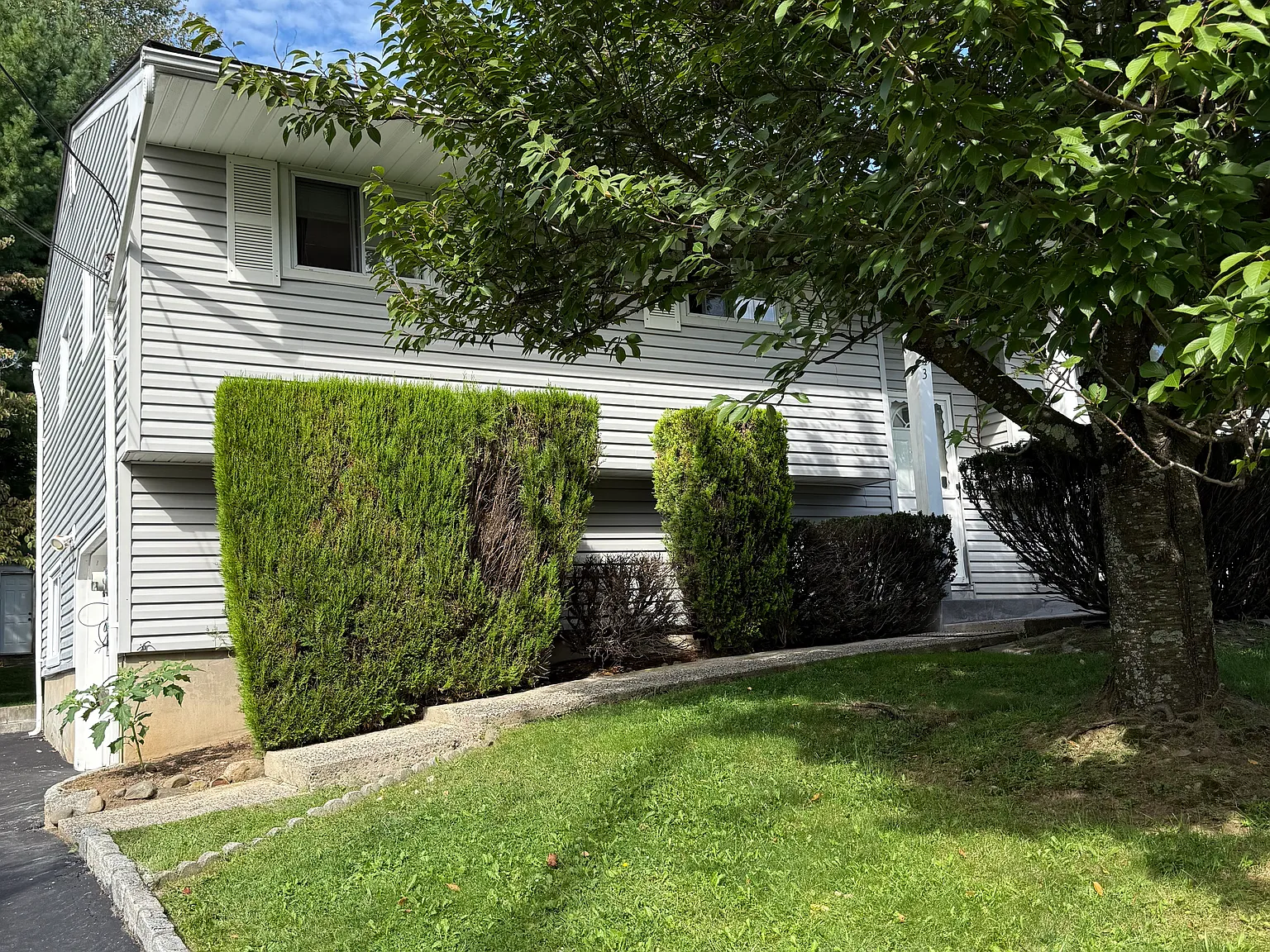 3 bed, 1.5 bath, 2000 sqft, $3,500 — Photo 1