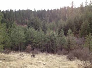 0 E Eistrup Rd, Elk, WA 99009