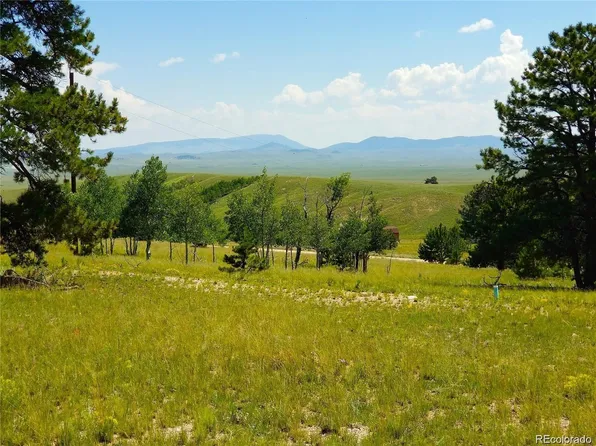 327 Brahma Circle LOT 0921, Hartsel, CO 80449