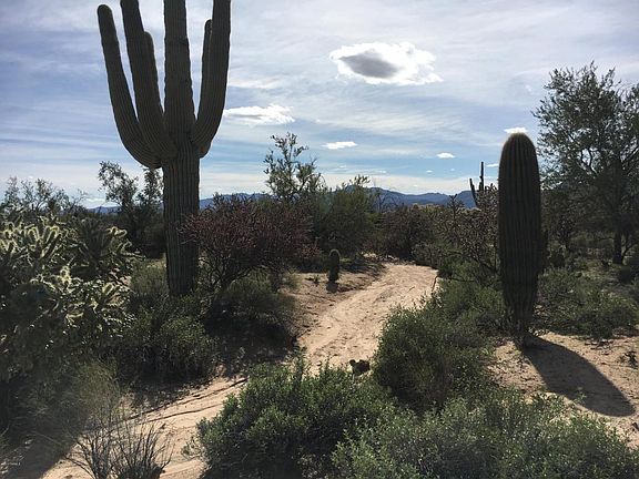 2nd image of 5195 W Desert Falcon Ln