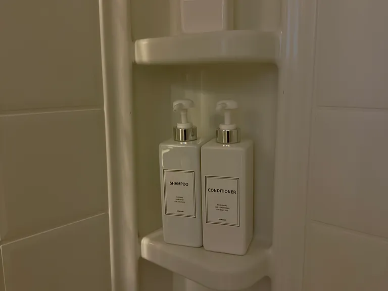 9049 Boston Springs Ave #1 — Photo 10