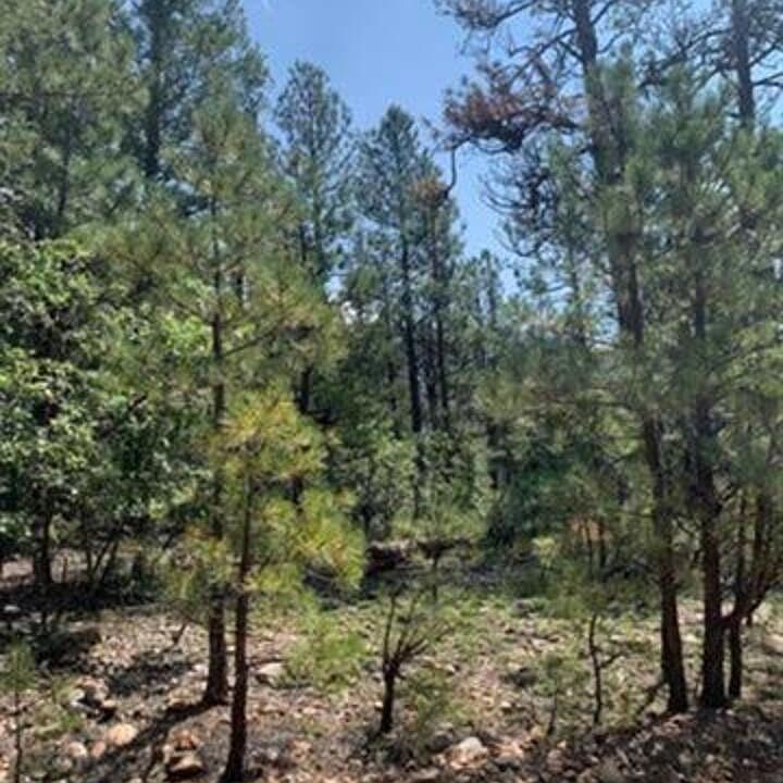 1st image of 35 Ridge Dr