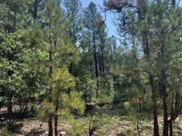 35 Ridge Dr, Mora, NM 87732