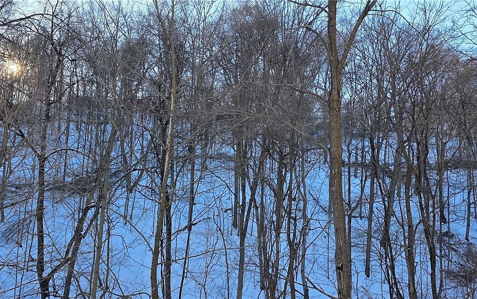 2nd image of 71480 Mercer Rd