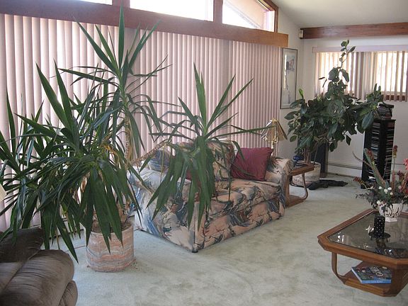 5th image of 3323 Corvair Ln