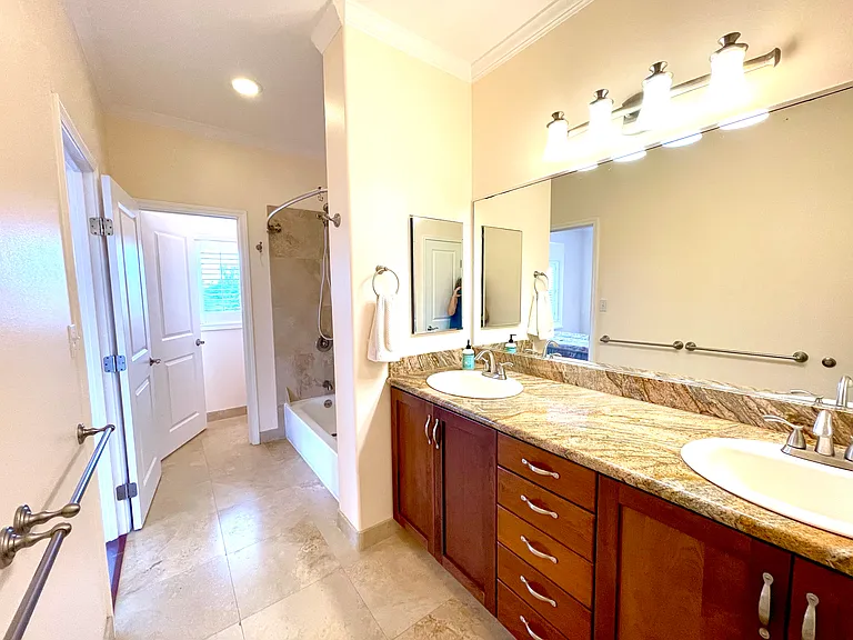 Primary vanity, tub, shower, toilet room