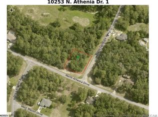 10253 N Athenia Dr, Citrus Springs, FL 34434