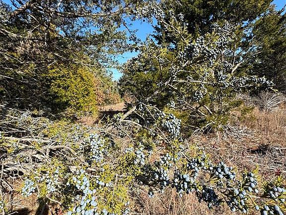 3rd image of Vacant Land Mol Near 240th & Western