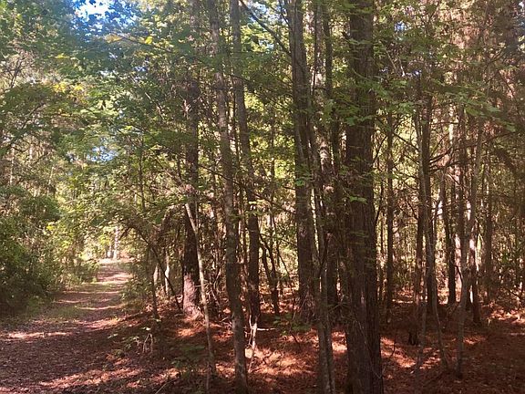 Imagine autumn leaves!