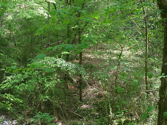3rd image of Ridgecrest Loop Ln