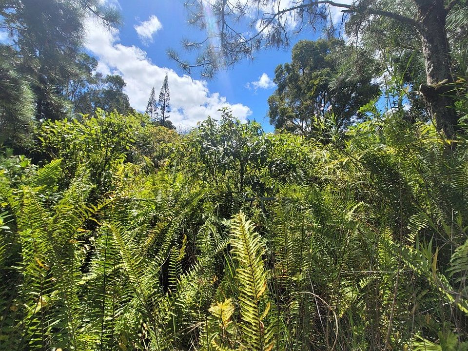 1st image of 11-2834 Hibiscus St Lot 7410