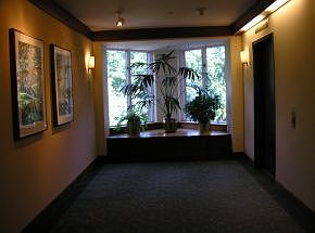 Elevators on 6th floor