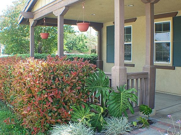 2nd image of 6909 Winter Night Ave