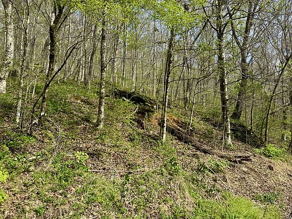 3rd image of 1 Lay Hollow Rd