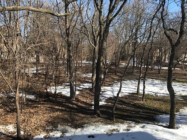 Beautiful wooded lot.