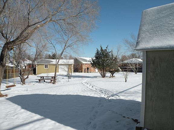 Backyard2
