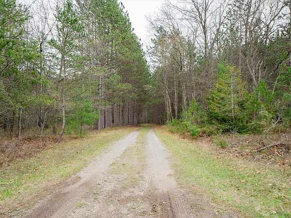 5th image of 7734 Partlo Rd