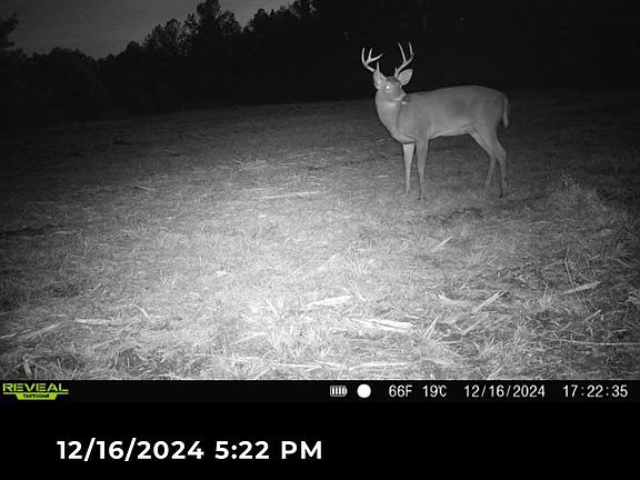 2nd image of 6 Forest Service Rd #562